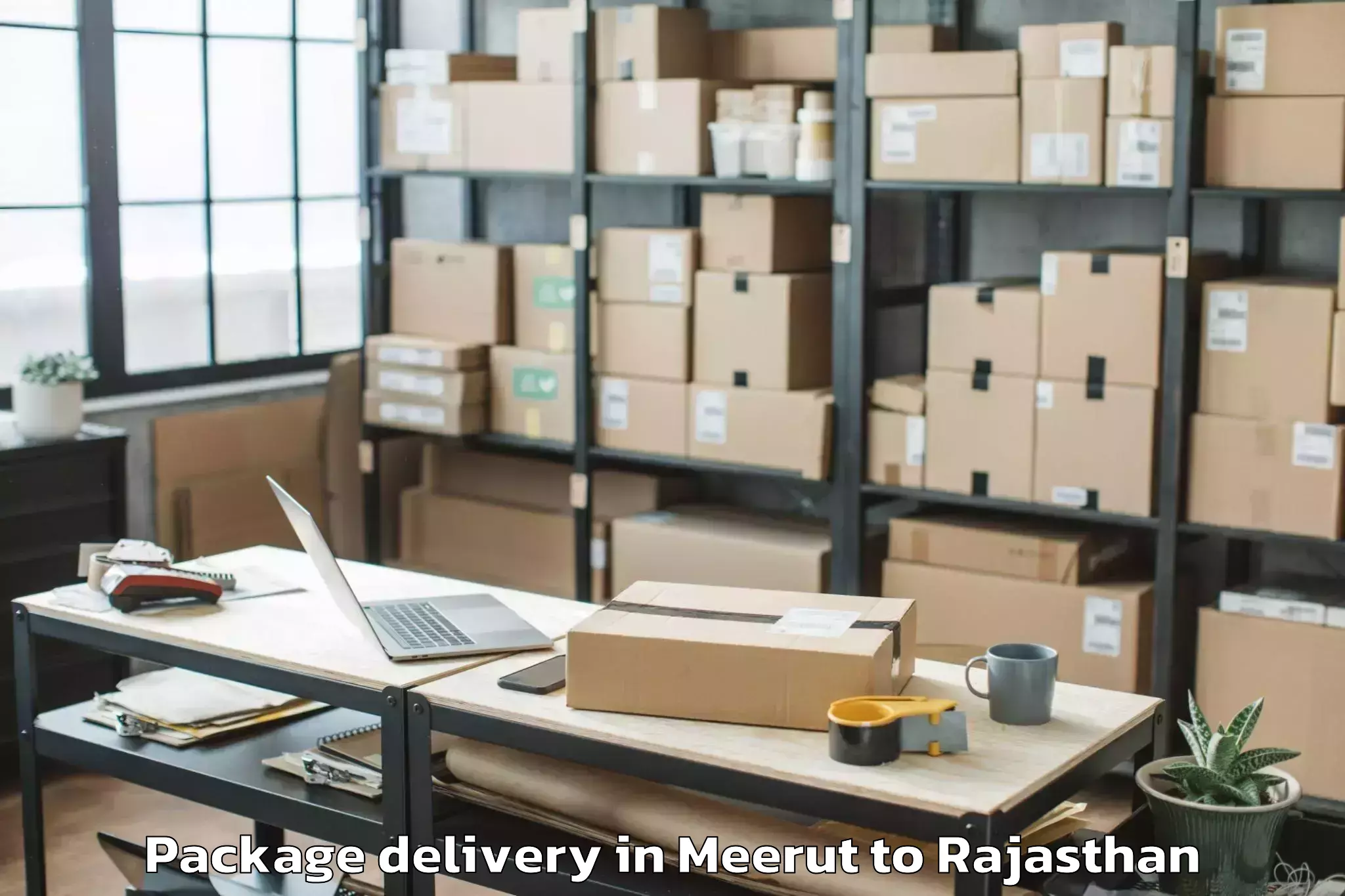 Quality Meerut to Madanganj Kishangarh Package Delivery